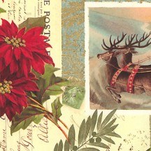 Poinsettia Christmas Collage Print Paper ~ Rossi Italy